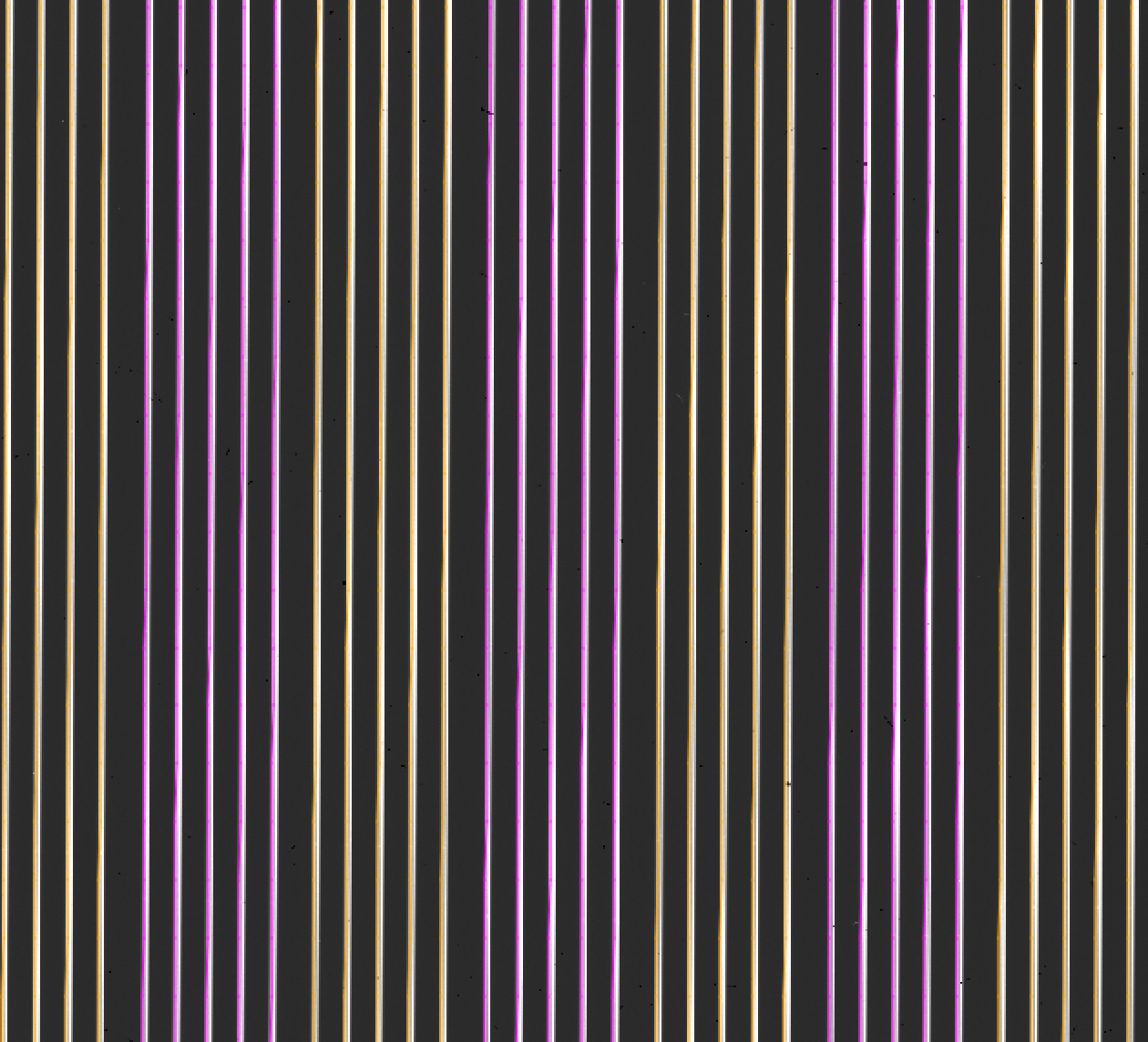 ../_images/align_image.png