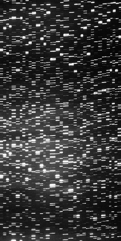 ../_images/deimos_arc_image.png